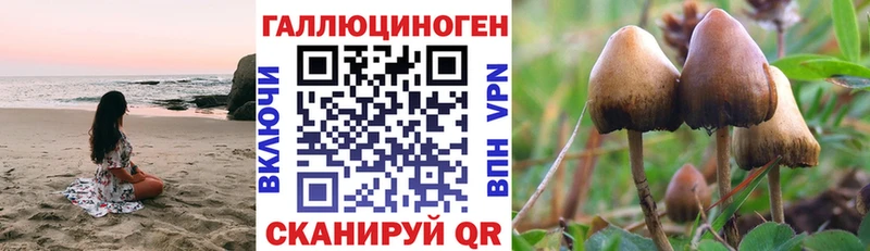 Галлюциногенные грибы Psilocybine cubensis  Купить где  Заринск 